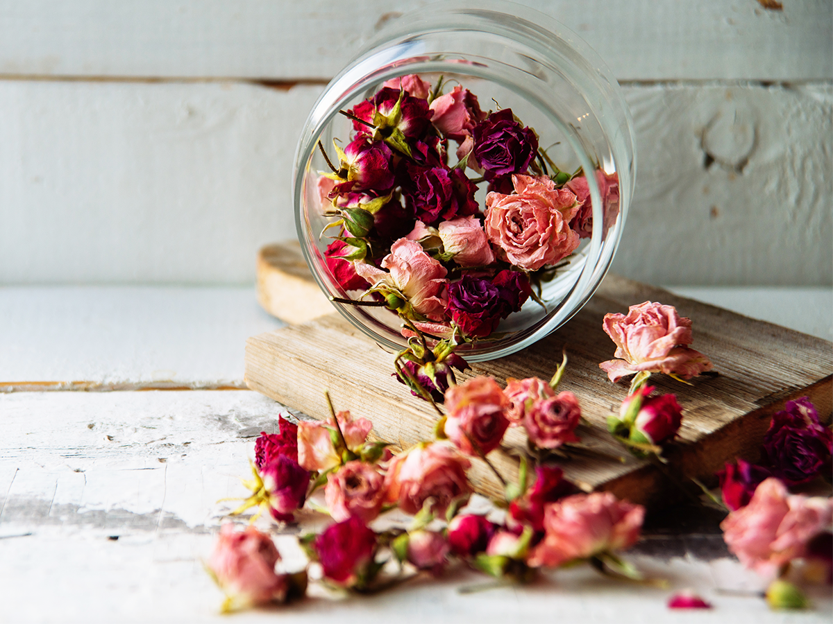 preserved flowers