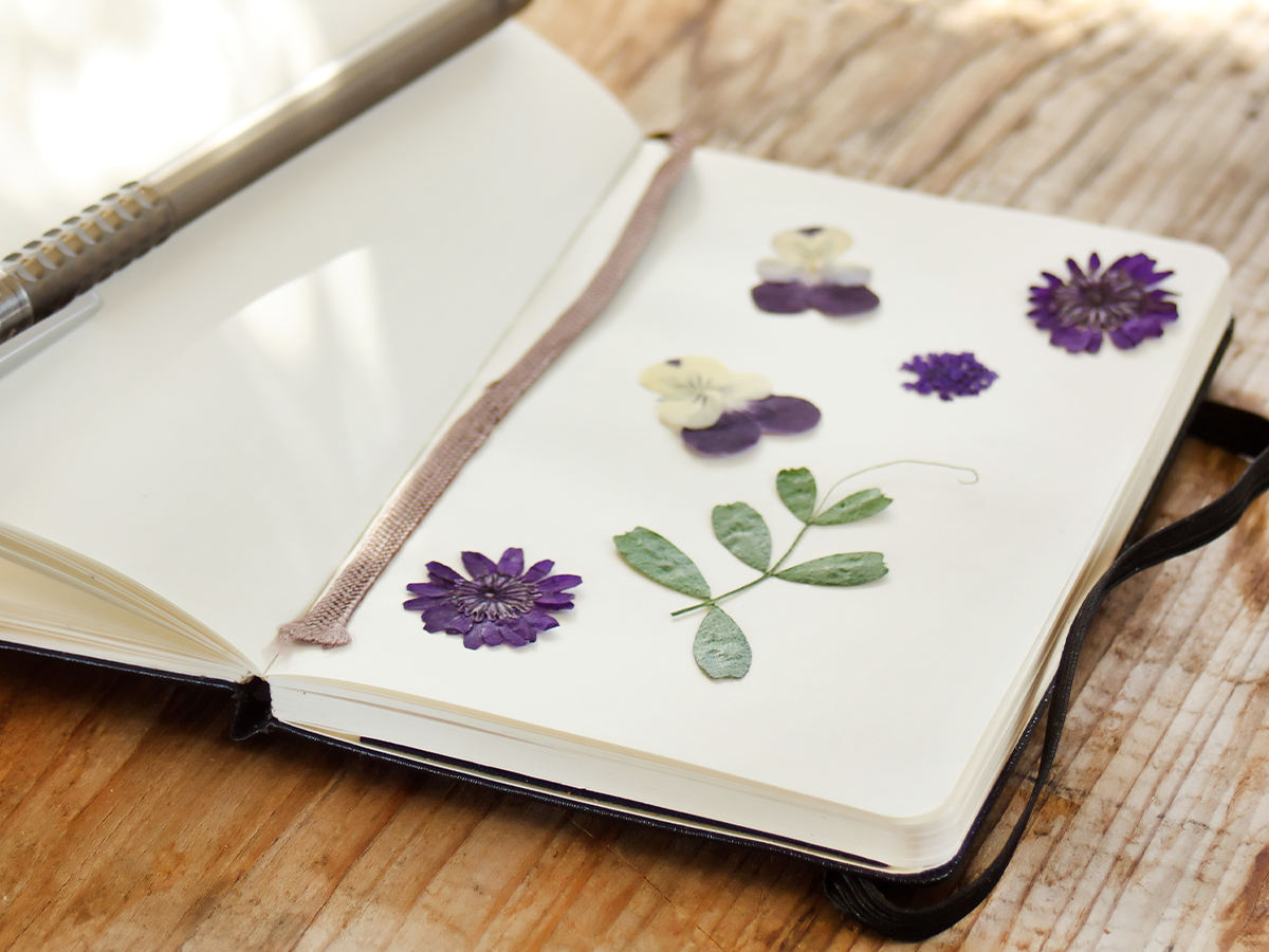 create your new year plant journal dried flowers